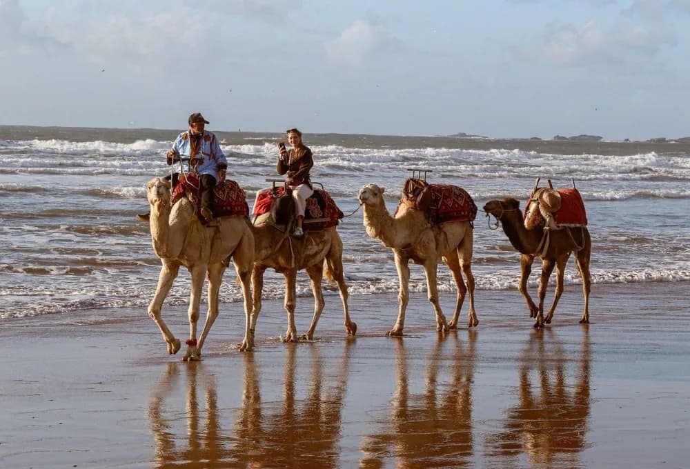Le Jardin des Douars - Hôtel & villas privatives à Essaouira · Zdjęcie ze strony obiektu